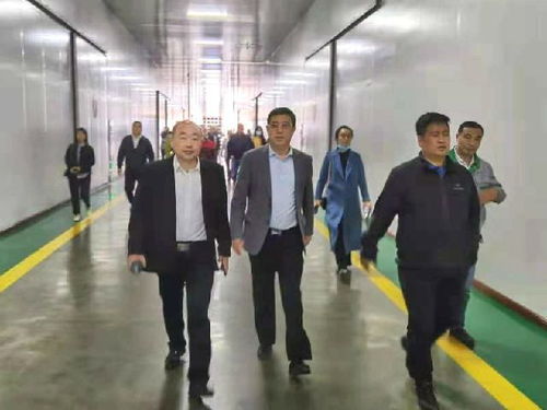 深化南北合作，共拓農(nóng)業(yè)新篇——東莞市河南商會赴黑龍江商務考察紀實
